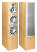 Infinity BETA 40 beech (2)